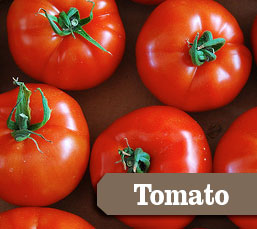 tomato.jpg